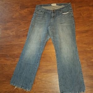 Maurice's Bootcut Jean's Size 16 Long